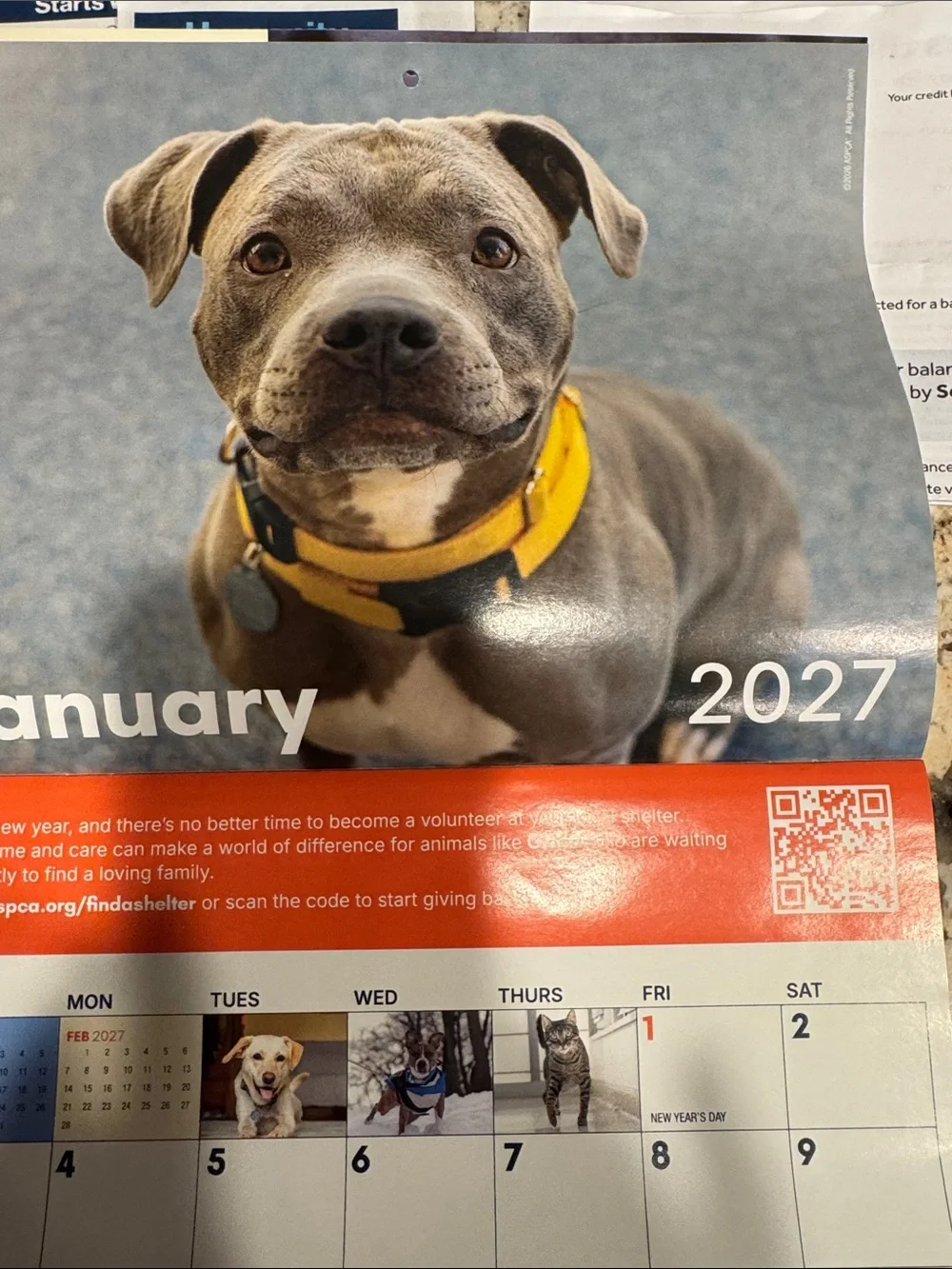 2027 Special Edition Calendar - Cream/Orange